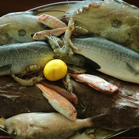 Hotell Bleart Škalngur